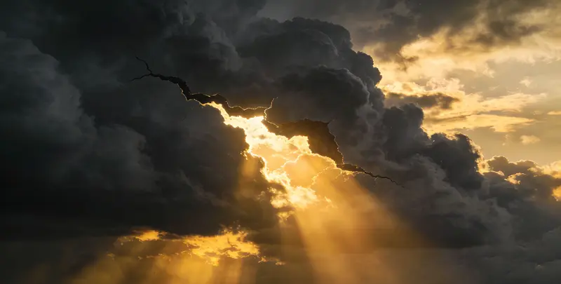 张家口肺癌11基因检测组织版图片1